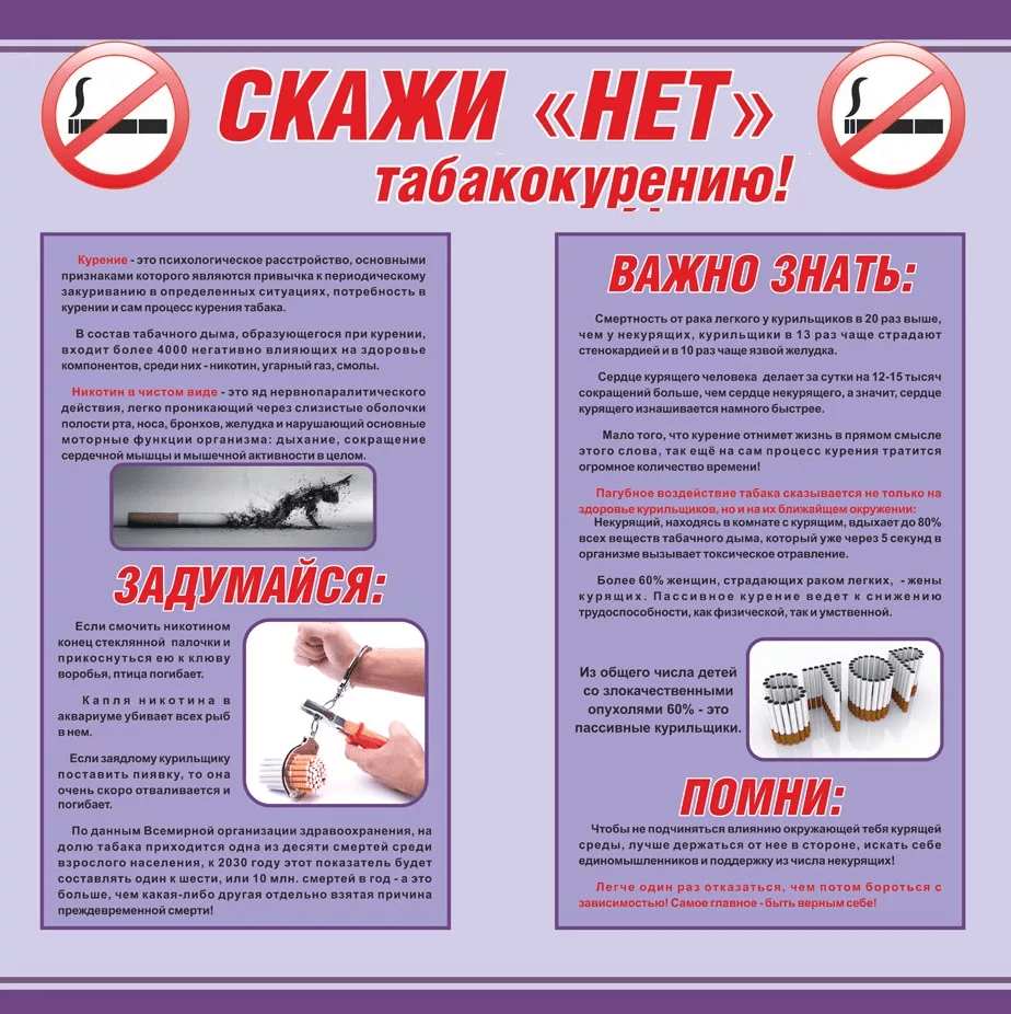 Профилактика вредных привычек (наркомании, токсикомании, алкоголизма и пр.)