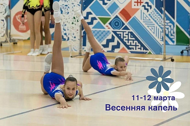 Анонс. Спортивная аэробика