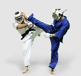 Анонс. Кудо