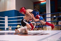 Анонс. Смешанное единоборство (ММА)