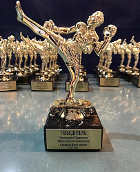 В Сургуте завершился чемпионат и первенство ХМАО-Югры по кикбоксингу