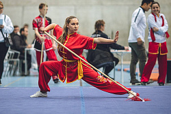 Мастер-класс по ушу