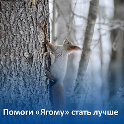 Помоги "Ягому" стать лучше