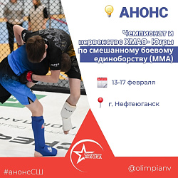 Анонс. Смешанное боевое единоборство (ММА)