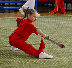 Мастер-класс по ушу