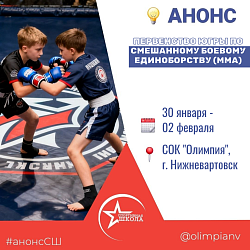 Первенство Югры по смешанному боевому единоборству (ММА)