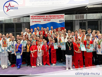 Ушуисты привезли медали 