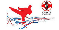 Анонс. Киокусинкай