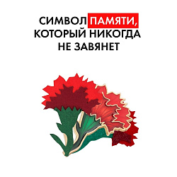  Всероссийская акция «Красная гвоздика»: выразите благодарность ветеранам! 
